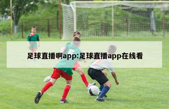 足球直播啊app:足球直播app在线看